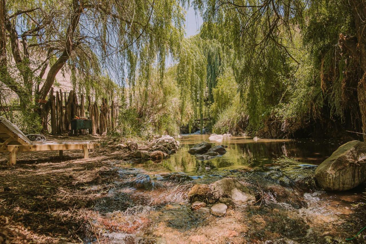Horcón Hotel Vivelo Elqui Landscape المظهر الخارجي الصورة