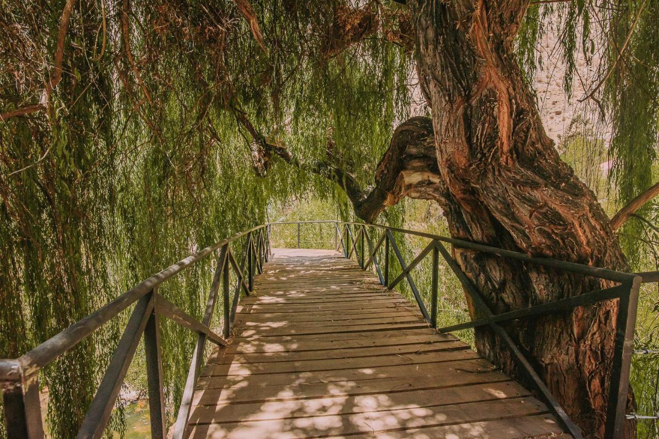 Horcón Hotel Vivelo Elqui Landscape المظهر الخارجي الصورة